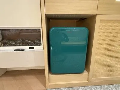 guest photo