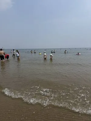 guest photo
