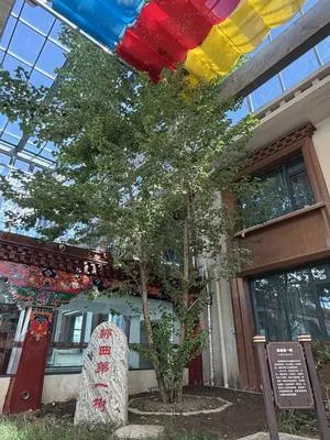 guest photo