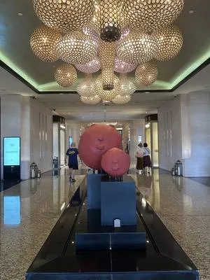guest photo