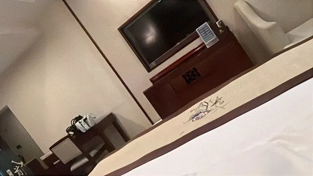 Zhenfeng Tongxin Grand Hotel