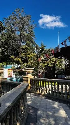 guest photo