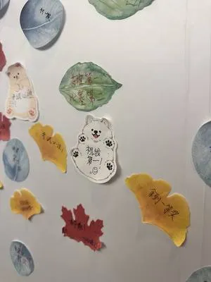 guest photo