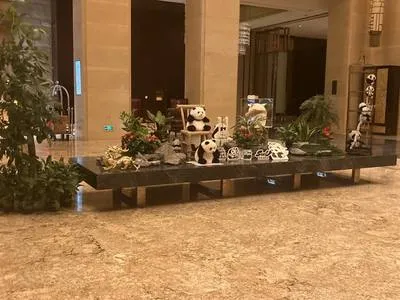 guest photo