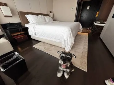 guest photo