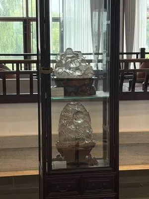 guest photo