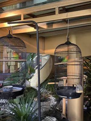 guest photo