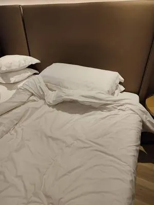 guest photo