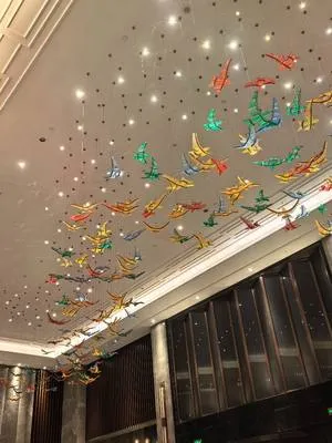 guest photo