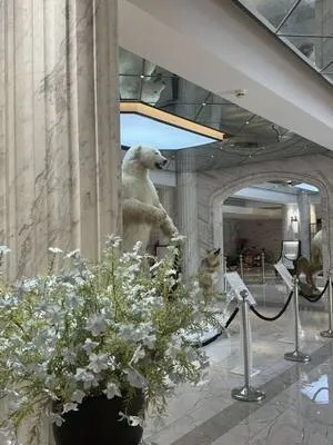 guest photo