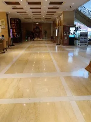 guest photo