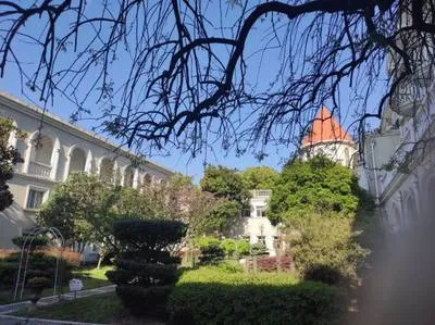 guest photo