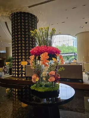 guest photo