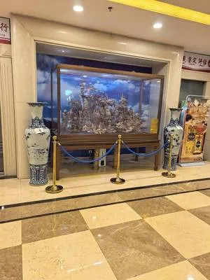 guest photo