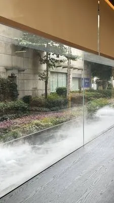 guest photo